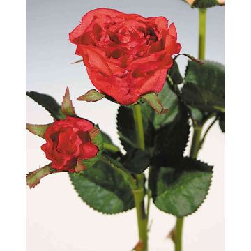 Textil Rose QUEENIE, rot, 30cm, Ø3-5cm