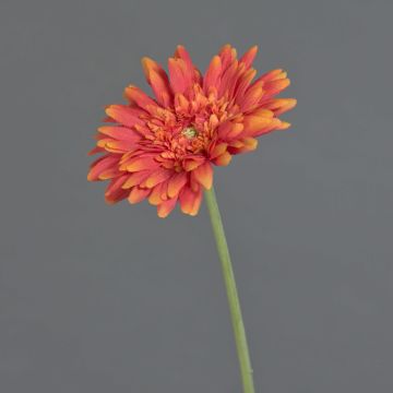 Künstliche Gerbera AITANA, orange, 55cm, Ø10,5cm