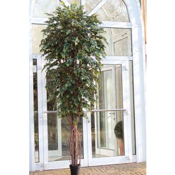 Kunstbaum Ficus Benjamini YONDALA, Echtstämme, grün, 300cm