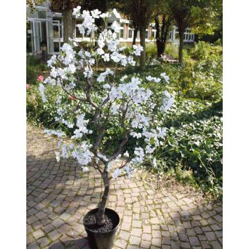Kunst Birnbaum ELMINE, Kunststamm, mit Blüten, weiß-rosa, 160cm
