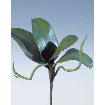 Kunstblätter Phalaenopsis Orchidee DORTE, Luftwurzeln, 22x28cm
