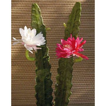 Kunst Kaktus Königin der Nacht DOMENICA, Blüte, pink, 50cm
