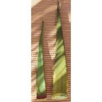Kunststoff Aloe Vera Blatt ALEXANDRE, grün, 47cm