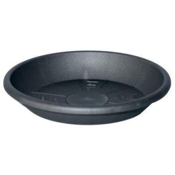 Runder Blumentopf Untersetzer DONIKA aus Kunststoff, mit Löchern, anthrazit, 6cm, Ø44cm