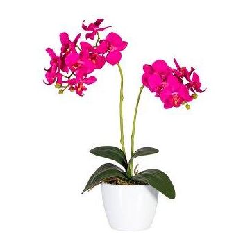 Dekoblume Phalaenopsis Orchidee FRUXO, Steckstab, Wurzeln, pink, 50cm