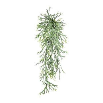 Dekohänger Geweihfarn FURJYS, Steckstab, grün, 75cm