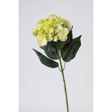 Textilblume Hortensie ANGELINA, creme-grün, 70cm, Ø23cm