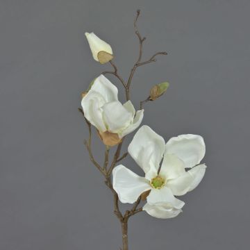 Magnolienzweig künstlich MALBINE, weiß, 50cm, Ø7-10cm