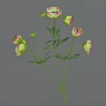 Ranunkel künstlich YARIS, grün-pink, 65cm, Ø3-4,5cm