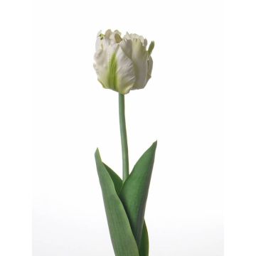 Textilblume Papageien Tulpe LORINA, weiß-grün, 60cm, Ø5cm