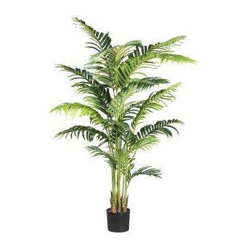 Kunst Palme Kentia TIBERI, 160cm