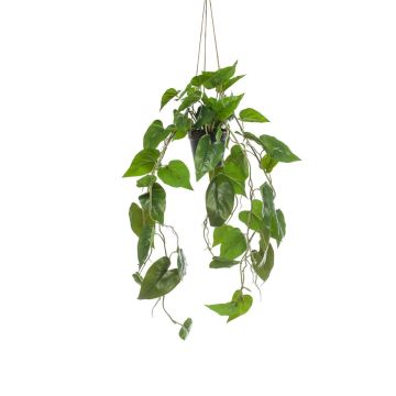 Kunstpflanze Philodendron Scandens Blumenampel ZILDA, Dekotopf, 80cm