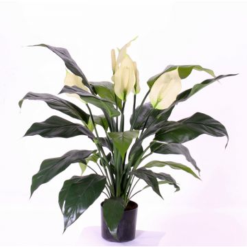 Künstliches Einblatt ABBY mit Blüten, weiß, 75cm