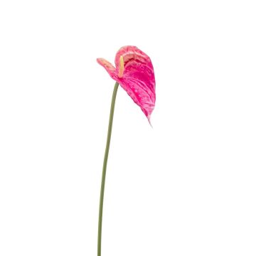 Künstliche Blume Anthurium XYLON, pink, 50cm