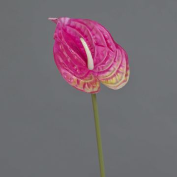 Künstliche Blume Anthurium XYLON, pink-gelb, 50cm, 9x12cm