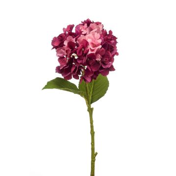 Dekoblume Hortensie LOVA, burgunderrot-rosa, 50cm