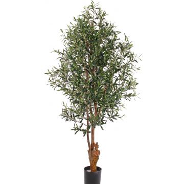 Kunst Olivenbaum FINLOR, Echtstamm, crossdoor, 170cm