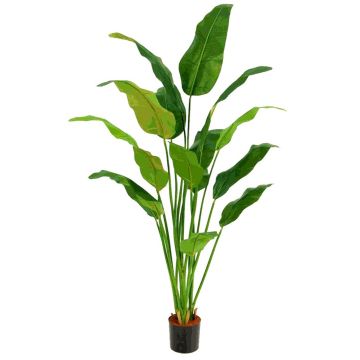 Künstliche Bananenpflanze ARTAX, 180cm