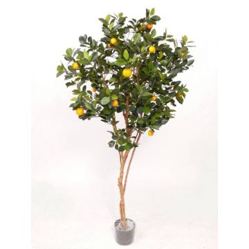 Kunst Mandarinen Baum MITRA, Echtstämme, mit Früchten, 180cm