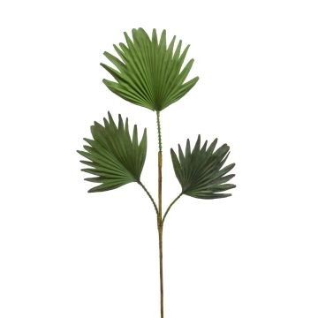 Dekozweig Washingtonia Palmwedel VELTA, grün, 80cm