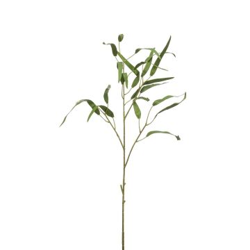 Textil Eukalyptus Zweig CALIK, grün, 75cm