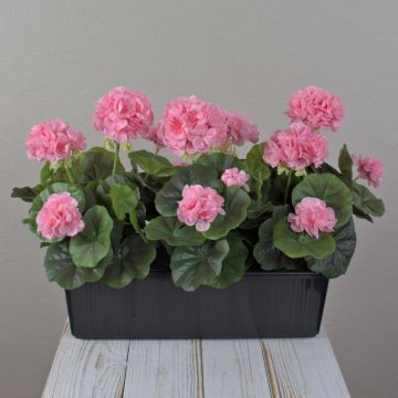 Künstliche Geranien FLOREANA im Blumenkasten, 3 Stück, hellrosa, 40x15x35cm