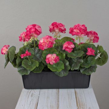 Künstliche Geranien FLOREANA im Blumenkasten, 3 Stück, dunkelrosa, 40x15x35cm