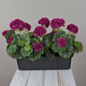 Künstliche Geranien FLOREANA im Blumenkasten, 3 Stück, burgunderrot, 40x15x35cm