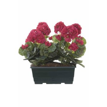 Künstliche Geranien FLOREANA im Blumenkasten, 2 Stück, pink, 24x11x35cm