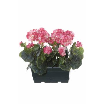 Künstliche Geranien FLOREANA im Blumenkasten, 2 Stück, dunkelrosa, 24x11x35cm