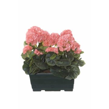 Künstliche Geranien FLOREANA im Blumenkasten, 2 Stück, lachs, 24x11x35cm
