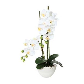 Textil Phalaenopsis Orchidee DINKA in Keramikschale, Wurzeln, weiß, 50cm