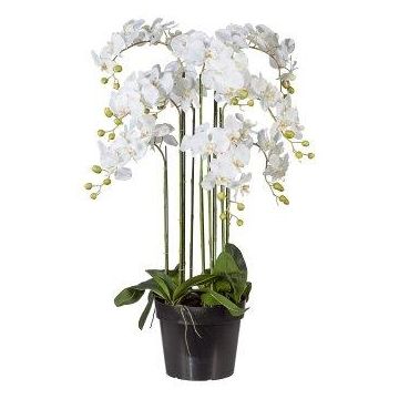 Kunst Phalaenopsis Orchidee LOPASY, Wurzeln, weiß, 110cm