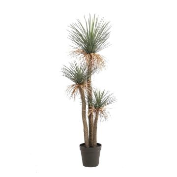 Künstliche Yucca Rostrata DENALI im Dekotopf, 180cm