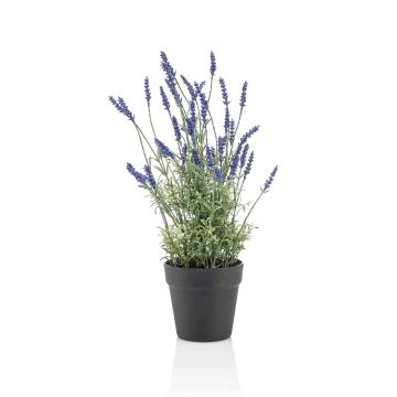 Kunstpflanze Lavendel NAPUR im Dekotopf, violett, 50cm