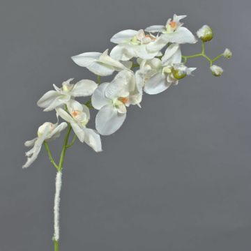 Kunstblume Phalaenopsis Orchidee NALANI, beschneit, weiß, 65cm, Ø8-9,5cm