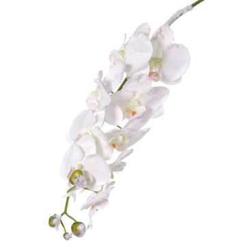 Kunstzweig Phalaenopsis Orchidee NALANI, beschneit, weiß, 80cm