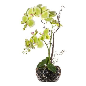 Kunstblumengesteck Orchidee Korkenzieherweide TICHIO, Dekovase, Wurzeln, grün, 55cm