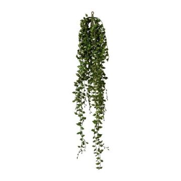 Künstliche Sukkulente Senecio FLINKO, hängend, grün, 90cm