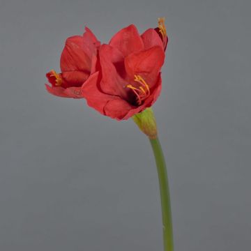 Dekoblume Amaryllis BELAV, rot, 70cm, Ø5-13cm
