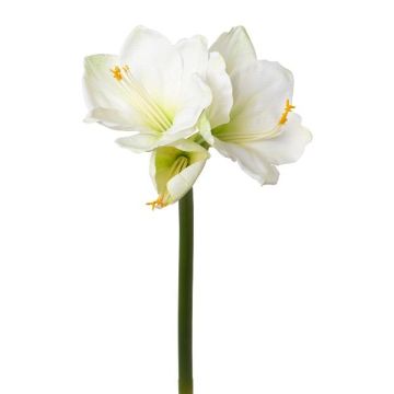 Dekoblume Amaryllis BELAV, weiß-grün, 70cm, Ø5-13cm