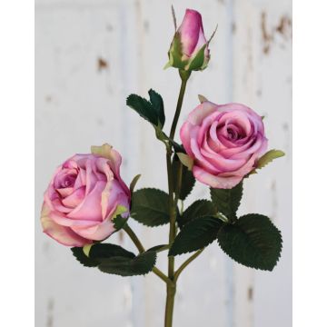 Textil Rose DELILAH, rosa, 55cm, Ø6cm