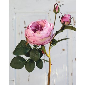 Kunst Kohl-Rose MIRETTA, rosa, 60cm, Ø3-9cm