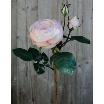 Kunst Kohl-Rose MIRETTA, rosa-grün, 60cm, Ø3-9cm