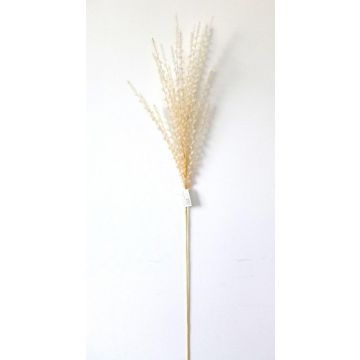 Kunststoffschaum Chinaschilf FERDIHUN mit Rispen, aprikose, 100cm