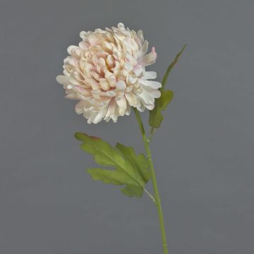 Künstliche Chrysantheme FYRFOR, rosa-creme, 70cm, Ø14cm