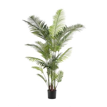 Künstliche Goldfruchtpalme TAWAN, 200cm