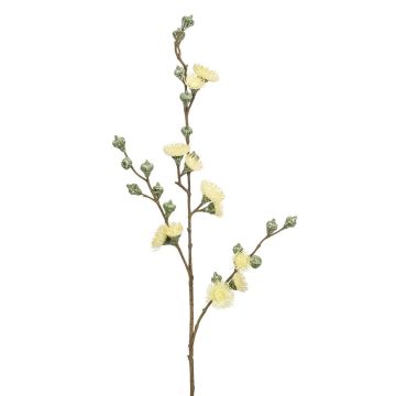Künstlicher Zweig Eukalyptus ILIOS mit Blüten, creme, 90cm
