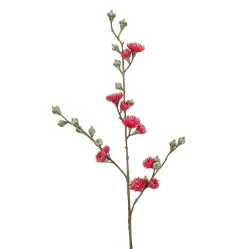Künstlicher Zweig Eukalyptus ILIOS mit Blüten, pink, 90cm