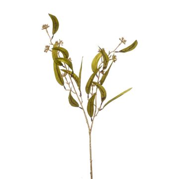 Kunst Eukalyptus Zweig PARSA mit Früchten, grün-gold, 75cm